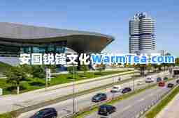 安国锐锋文化传媒有限公司