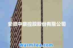 安徽中鼎控股股份有限公司