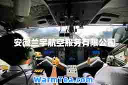 安徽兰宇航空服务有限公司