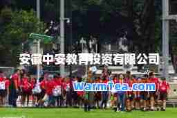 安徽中安教育投资有限公司