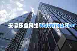 安徽乐鱼网络科技有限公司