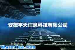 安徽宇天信息科技有限公司