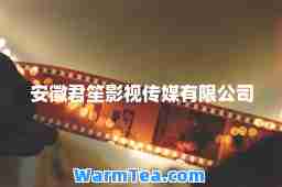 安徽君笙影视传媒有限公司