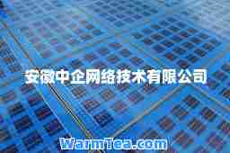安徽中企网络技术有限公司