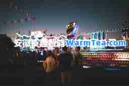安徽夜趣智能科技有限公司