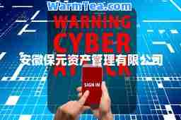 安徽保元资产管理有限公司