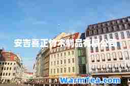 安吉喜正竹木制品有限公司