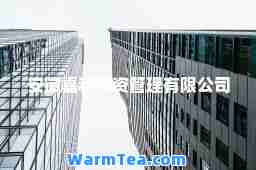 安徽嘉和投资管理有限公司