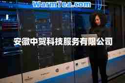安徽中贺科技服务有限公司