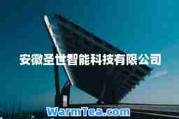 安徽圣世智能科技有限公司