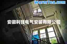 安徽利强电气安装有限公司