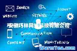 安徽巧林网络科技有限公司