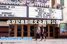 北京妃鱼影视文化有限公司