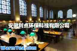 安徽利点环保科技有限公司