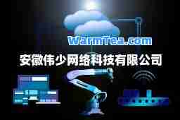 安徽伟少网络科技有限公司