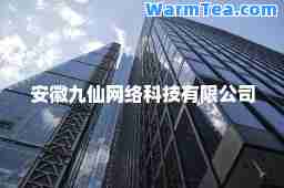 安徽九仙网络科技有限公司