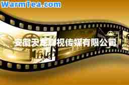 安徽天龙影视传媒有限公司