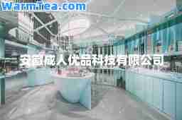 安徽优品科技有限公司