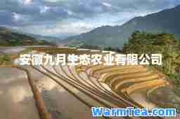 安徽九月生态农业有限公司