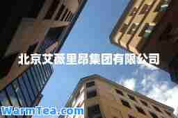 北京艾薇里昂集团有限公司