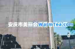 安庆市美丽会娱乐有限公司