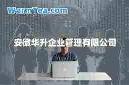 安徽华升企业管理有限公司