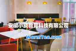 安徽小皮教育科技有限公司