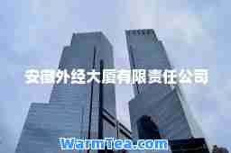 安徽外经大厦有限责任公司