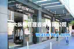 北大纵横管理咨询有限公司