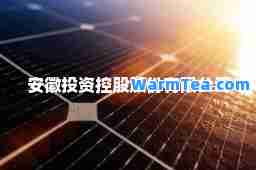 安徽投资控股股份有限公司