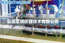 安徽思成仪器技术有限公司