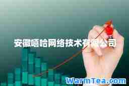 安徽嘻哈网络技术有限公司