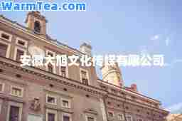 安徽大旭文化传媒有限公司