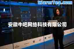 安徽牛吧网络科技有限公司
