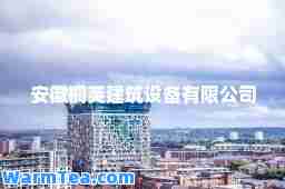 安徽桐英建筑设备有限公司