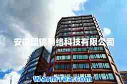 安徽盟锦网络科技有限公司