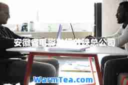 安徽省电影发行放映总公司