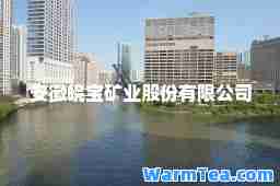 安徽皖宝矿业股份有限公司