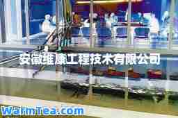 安徽维康工程技术有限公司