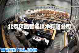 北京琛璐智能技术有限公司