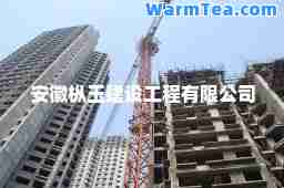 安徽枞玉建设工程有限公司