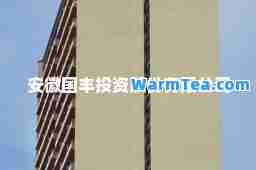 安徽国丰投资股份有限公司