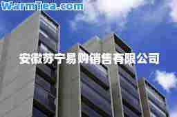 安徽苏宁易购销售有限公司