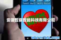安徽智宸智能科技有限公司