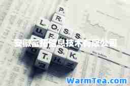安徽富拓信息技术有限公司