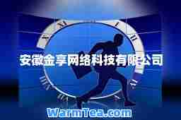 安徽金享网络科技有限公司
