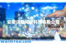安徽讯酷网络科技有限公司