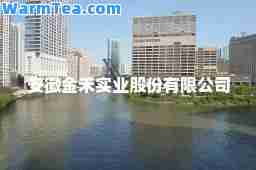 安徽金禾实业股份有限公司