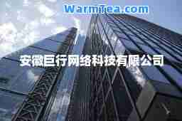安徽巨行网络科技有限公司