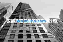 安徽玖建工程管理有限公司